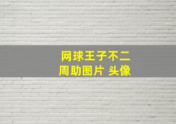 网球王子不二周助图片 头像